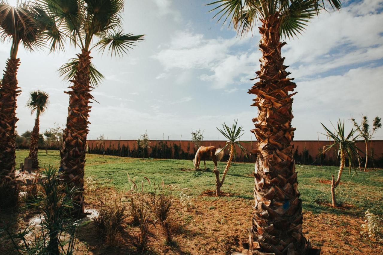 Aghmat Lodge Guest House Marrakesh Exterior photo