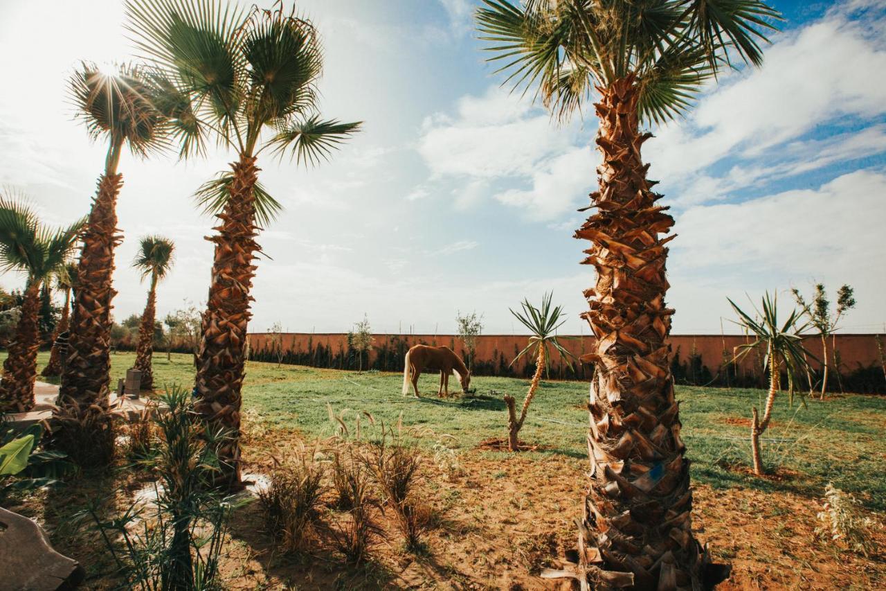 Aghmat Lodge Guest House Marrakesh Exterior photo